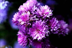 轰炸电话在线使用